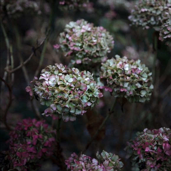 Kelly 💞💞 - Picture 9 of 9